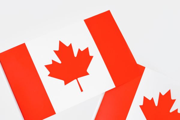 Medicine Scholarships In Canada